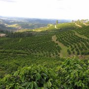 哥斯達黎加位置歷史咖啡業發展咖啡豆出口量