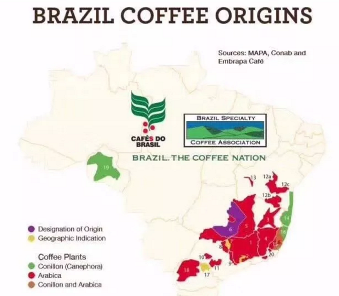 生豆檔案生豆批發巴西咖啡產區巴西果膠日曬咖啡豆