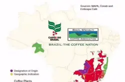 巴西咖啡什麼牌子好，巴西咖啡和美式咖啡的區別