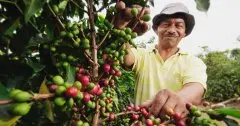 國內極少見，潛力超無窮的新興咖啡產區－厄瓜多爾咖啡