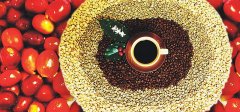 咖啡中的“勞斯萊斯”—臺灣咖啡的產銷特性以及產地信息介紹