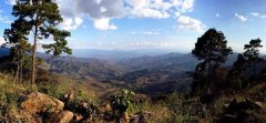 危地馬拉科班雨林-薇絲塔美人莊園信息 最跳脫的科班咖啡產區
