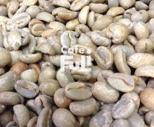 埃塞俄比亞孔加處理廠信息資料介紹 非洲之王日曬咖啡豆風味描述