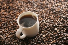 新鮮調製咖啡”星巴克派克市場咖啡豆研發背後的故事？