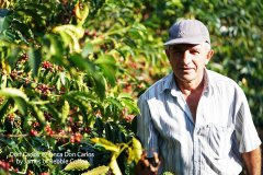 玻利維亞聖塔克魯茲產區夫耶蝶莊園—來自世界屋脊的玻利維亞咖啡
