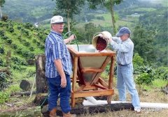哥斯達黎加新興微型處理廠蜜處理 哥斯達黎加咖啡季介紹