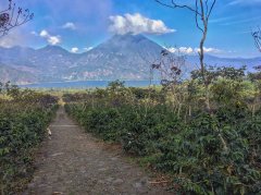 危地馬拉聖湖莊園歷史介紹 2014年阿蒂特蘭湖產區最佳年度咖啡豆