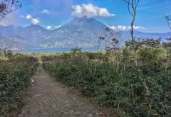 危地馬拉聖湖莊園歷史介紹 2014年阿蒂特蘭湖產區最佳年度咖啡豆
