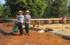 緬甸雪瓦湳咖啡介紹 雪瓦湳咖啡與Danu 合作目的