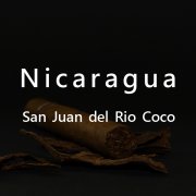 尼加拉瓜聖胡安SanJuan可可河del Rio Coco合作社象豆Maragogype
