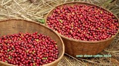 埃塞俄比亞最知名咖啡產區之西達摩Sidamo產區丁圖村Dintu介紹