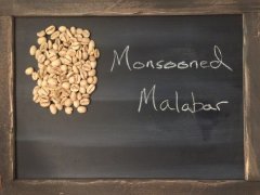 印度季風豆|風漬豆 Monsooned Malabar馬拉巴爾咖啡豆處理過程特