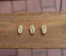 [南美洲咖啡豆] 哥倫比亞聖殿(聖徒阿里歐)莊園瑰夏水洗藝伎豆