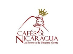 尼加拉瓜El Naranjo Dipilto橙果莊園 瑪拉卡杜拉Maracaturra品種