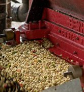 耶加雪菲果丁丁村阿利姆布卡託小農水洗咖啡豆風味介紹