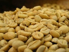 埃塞俄比亞紅櫻桃計劃Mormora魔魔拉種植園水洗咖啡豆特徵描述
