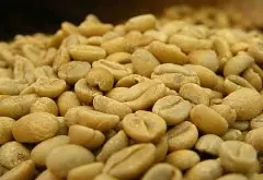 肯尼亞嘎古有（硬石）Gakuyu處理廠水洗咖啡豆風味口感描述