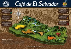 薩爾瓦多喜馬拉雅咖啡怎麼樣 薩爾瓦多咖啡簡史與咖啡小檔案