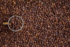 薩爾瓦多咖啡豆烘焙記錄建議 薩爾瓦多巴特雷斯莊園溫泉咖啡處理