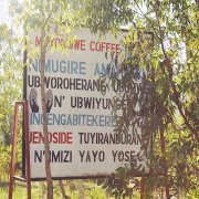 世界十大咖啡之盧旺達 盧旺達咖啡冠軍莊園慕詠薇水洗廠Muyongwe
