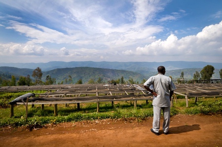 【盧旺達咖啡發展史】 從盧旺達咖啡產業起源到現況詳細介紹