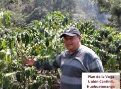2017危地馬拉新豆 危地馬拉COE拉維加優勝計劃咖啡豆