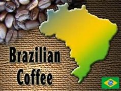 巴西咖啡什麼咖啡豆好 巴西咖啡豆物美價廉適合做意式咖啡