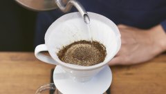 厄瓜多爾咖啡手衝參數手法建議 厄瓜多爾海龜島咖啡豆的風味特點