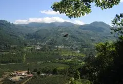 哥斯達黎加好的咖啡都出自塔拉珠產區 哥斯達黎加咖啡Tarrazu