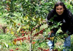 哥倫比亞三大莊園咖啡豆品種種植發酵處理法風味口感特點對比描述
