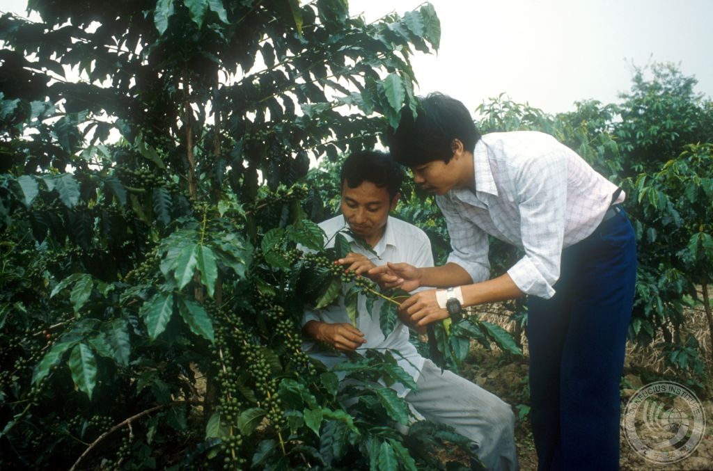 咖啡文化 | 咖啡在中日兩國的發展歷程