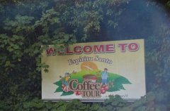 巴西著名咖啡品牌 巴西山度士咖啡豆和喜拉多咖啡豆風味口感區別