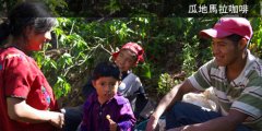 探訪危地馬拉咖啡莊園 見證危地馬拉咖啡從種子到一杯咖啡的過程