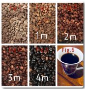 從微波爐開啓烘烤咖啡豆之旅 如何用微波爐烘焙咖啡生豆？