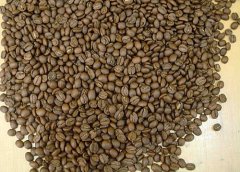 馬拉戈日皮象豆爲什麼風味評價那麼差 極品象豆杯測報告