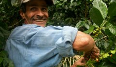 尼加拉瓜咖啡特性、用途，咖啡產地&產量，歷年咖啡產品產銷概況