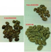 什麼是曼特寧咖啡豆? 跟一般咖啡豆有什麼不同 曼特寧的瑕疵率