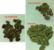 什麼是曼特寧咖啡豆? 跟一般咖啡豆有什麼不同 曼特寧的瑕疵率
