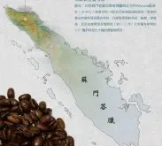 蘇門答臘曼特寧咖啡獨特風味產地介紹 曼特寧咖啡產地種植歷史