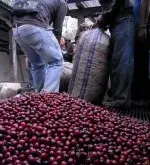 危地馬拉卡杜拉咖啡 危地馬拉安提瓜精選咖啡豆-超高海拔卡杜拉種