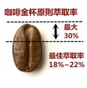 咖啡萃取公式與金盃萃取理論 | 探討萃取率與咖啡粉粗細的關係
