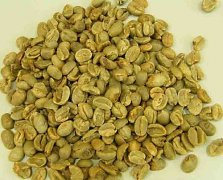 烏干達咖啡口感 烏干達AA-布吉森(Bugisu)阿拉比卡水洗咖啡豆
