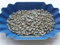 肯尼亞aa咖啡豆產品特色及口感介紹 肯尼亞aa咖啡多少錢