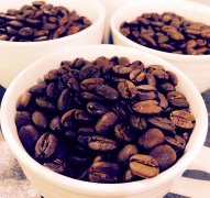 曼特寧咖啡豆辨識的特徵 可以保存多年的陳年曼特寧衝煮分享