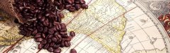 全球咖啡特色大揭祕 中國雲南咖啡與外國咖啡差別在哪裏？