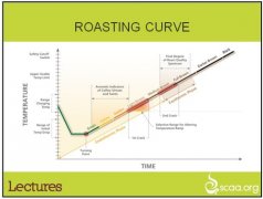 有意思的烘焙曲線(一) 入豆溫與回溫點的問題