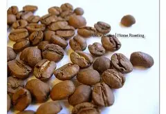 墨西哥咖啡恰帕斯產區│墨西哥直接關係咖啡紫水晶農園信息