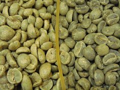蘇門答臘四款精品咖啡豆特點 陳年爪哇和陳年曼特寧風味對比