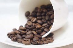 曼特寧咖啡豆價格 重口味咖啡的最佳選擇-黃金曼特寧咖啡豆