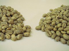特殊土壤對咖啡風味的提升 力姆產區微區域精選批次風味描述
